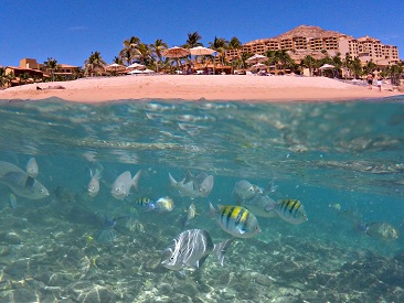 Golf Course at Grand Fiesta Americana Los Cabos, Los Cabos